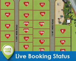 Live booking Status DMC-1-Click here